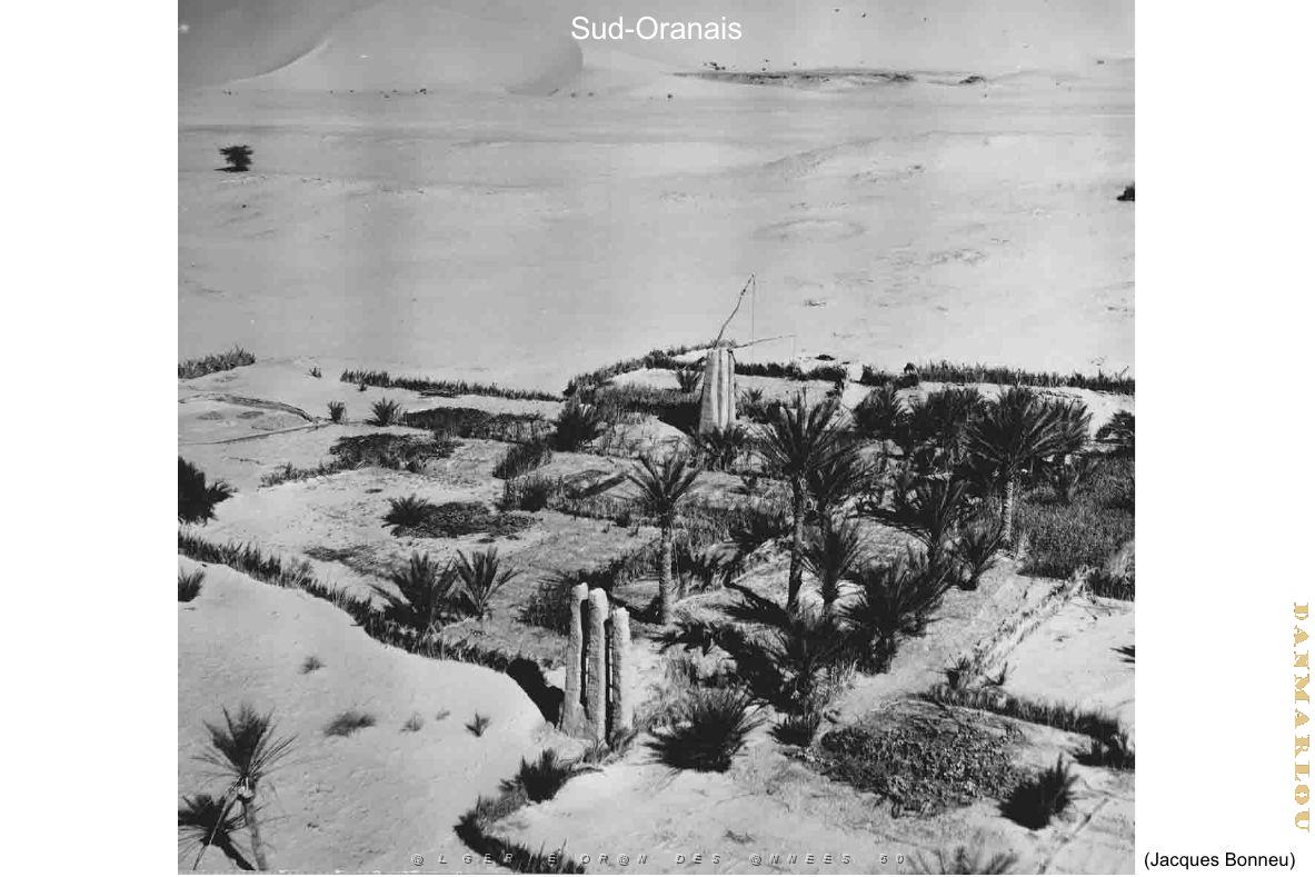 173- ARMEE DE L'AIR EN ALGERIE 1945-1962-21 (45).jpg